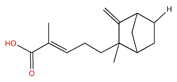 beta-Santalic acid